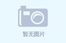 制霸天空！《战斗吧精灵》龙系天王阵容全解析